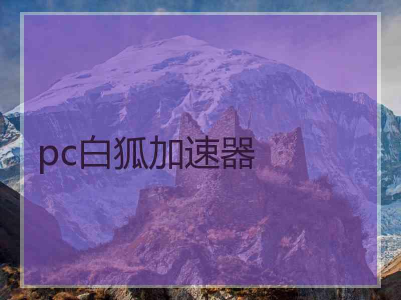 pc白狐加速器