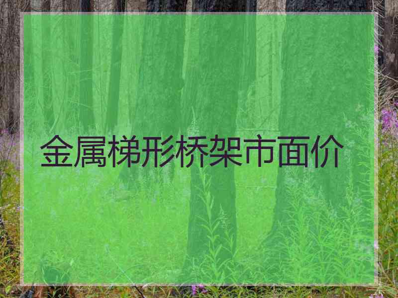 金属梯形桥架市面价