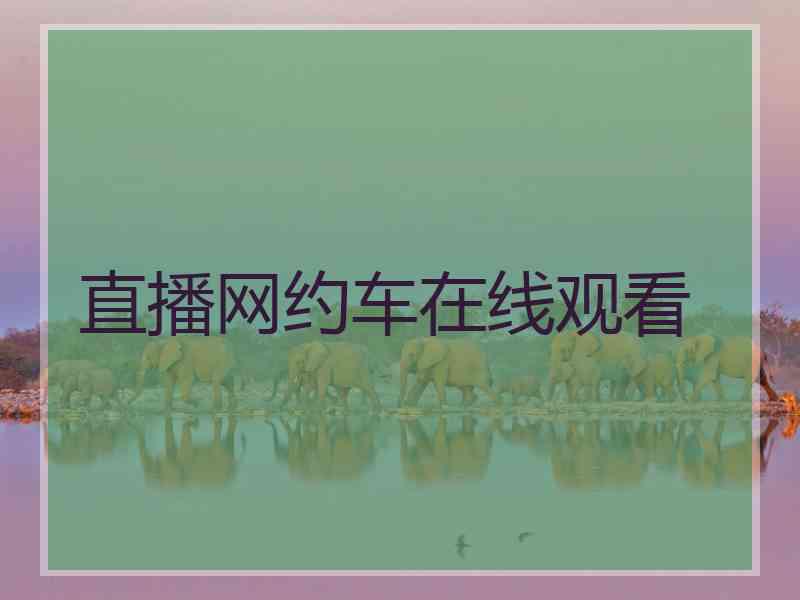 直播网约车在线观看