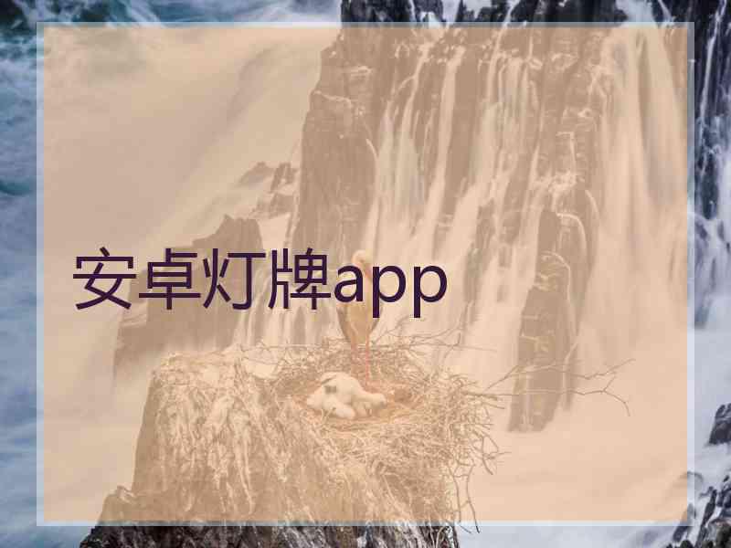 安卓灯牌app