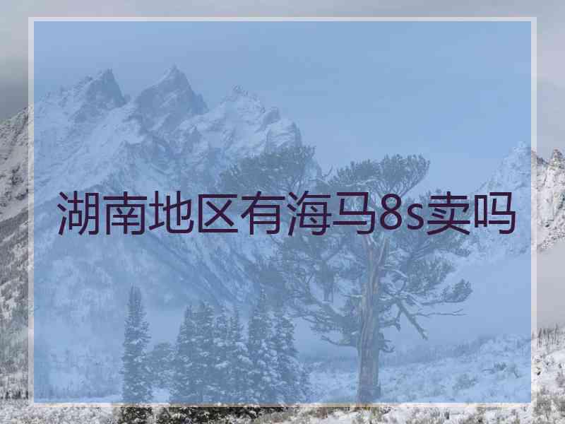湖南地区有海马8s卖吗