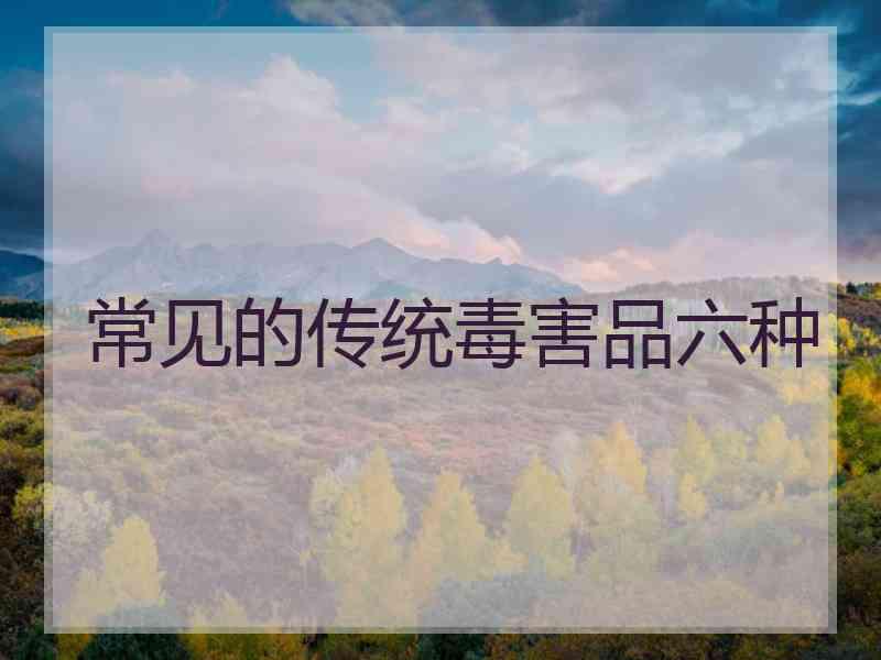 常见的传统毒害品六种