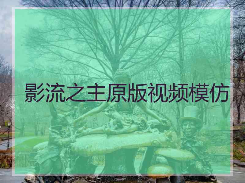影流之主原版视频模仿