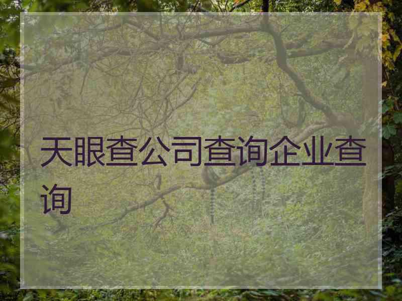天眼查公司查询企业查询