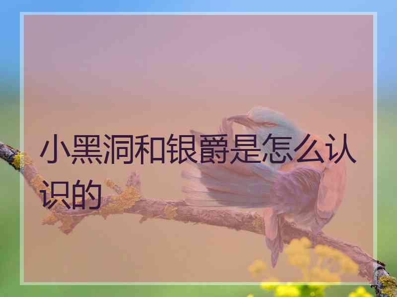 小黑洞和银爵是怎么认识的
