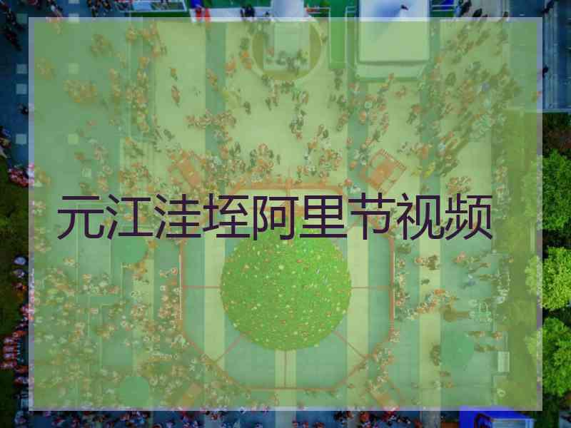 元江洼垤阿里节视频
