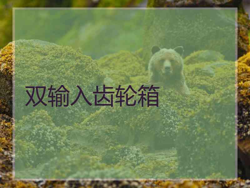 双输入齿轮箱