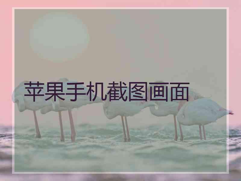 苹果手机截图画面