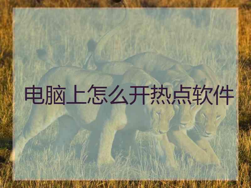 电脑上怎么开热点软件