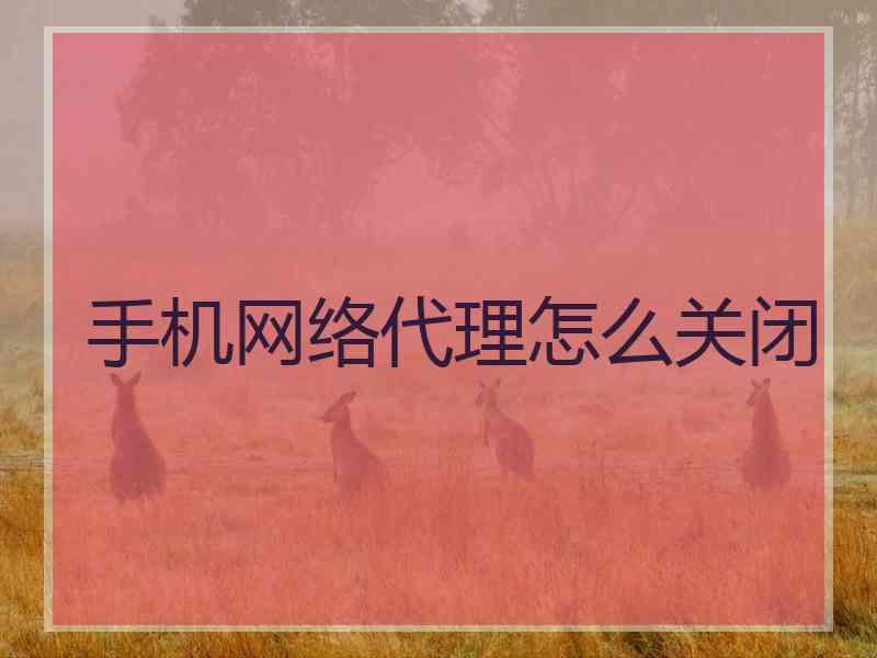 手机网络代理怎么关闭
