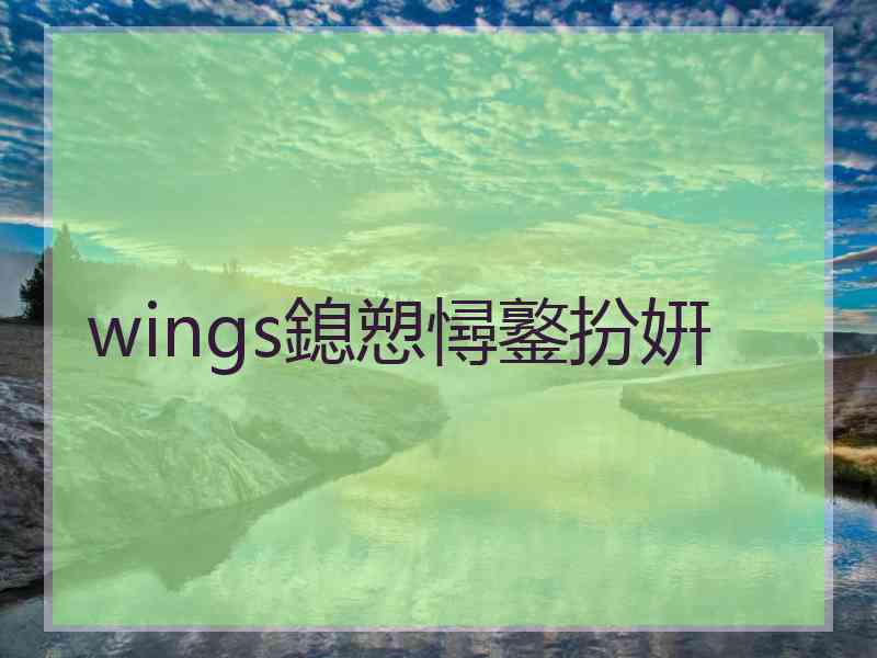 wings鎴愬憳鐜扮姸