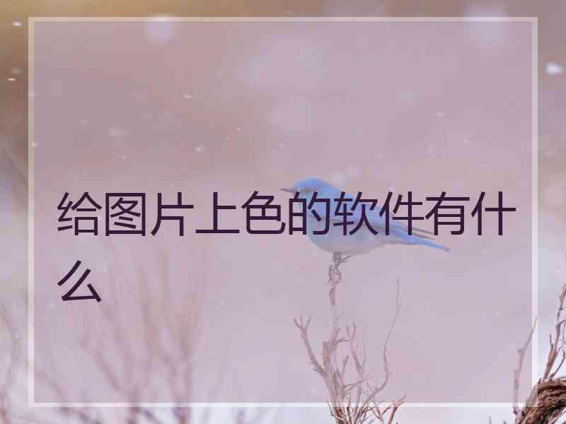 给图片上色的软件有什么