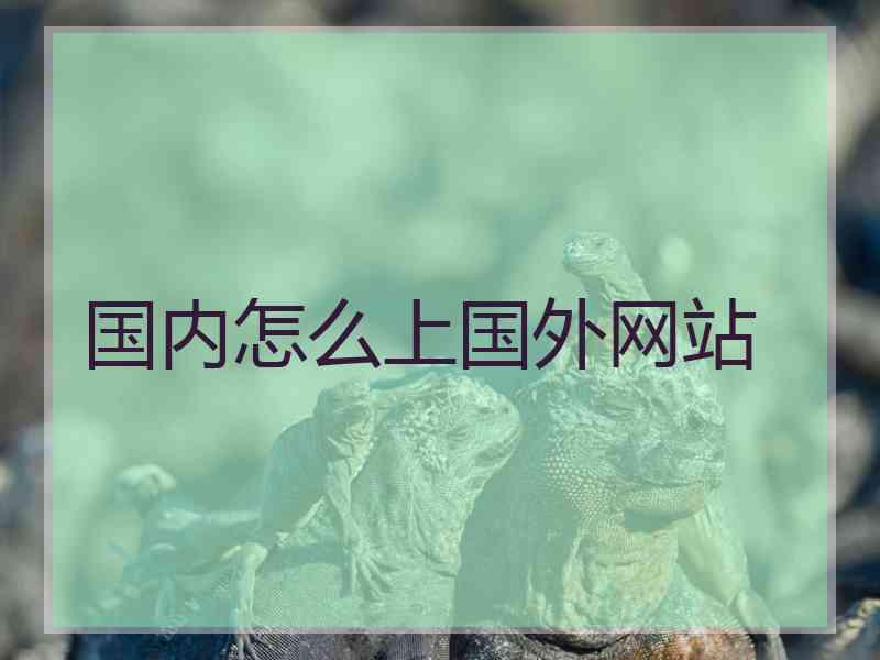 国内怎么上国外网站