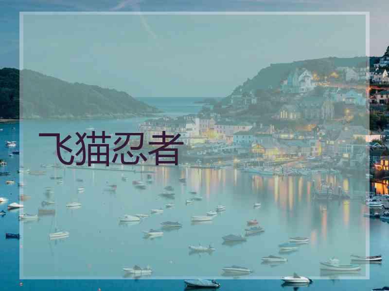 飞猫忍者