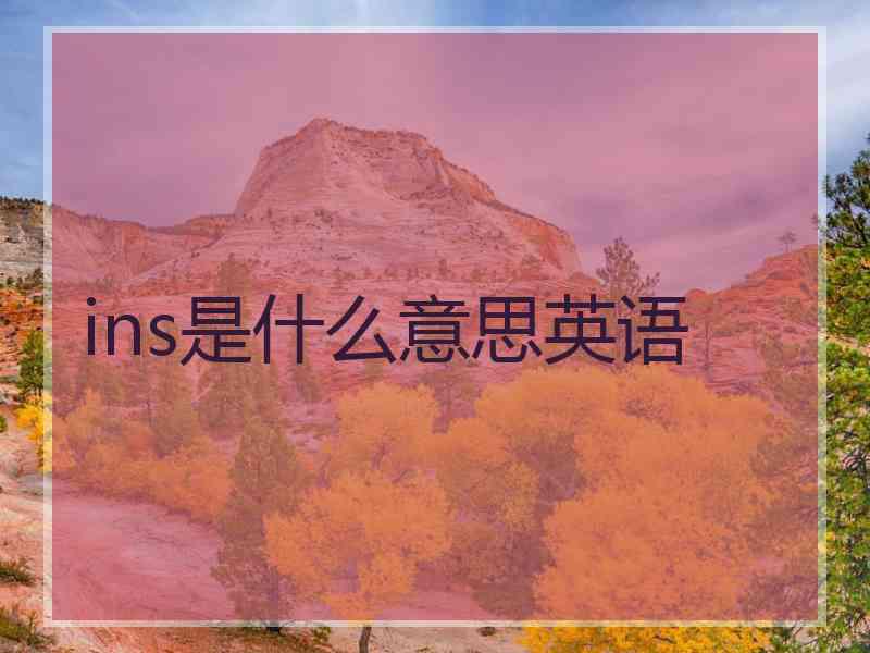 ins是什么意思英语