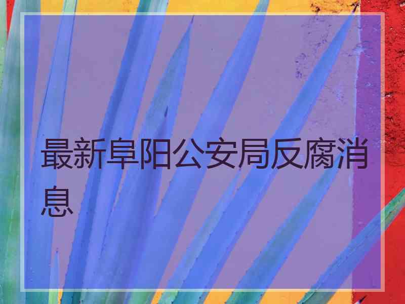 最新阜阳公安局反腐消息