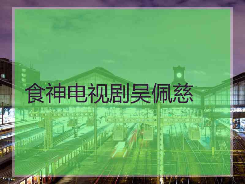 食神电视剧吴佩慈