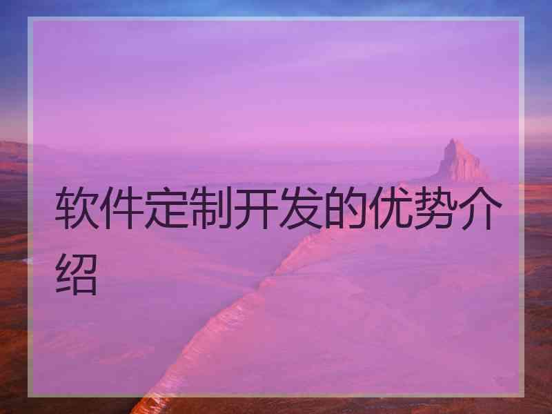 软件定制开发的优势介绍