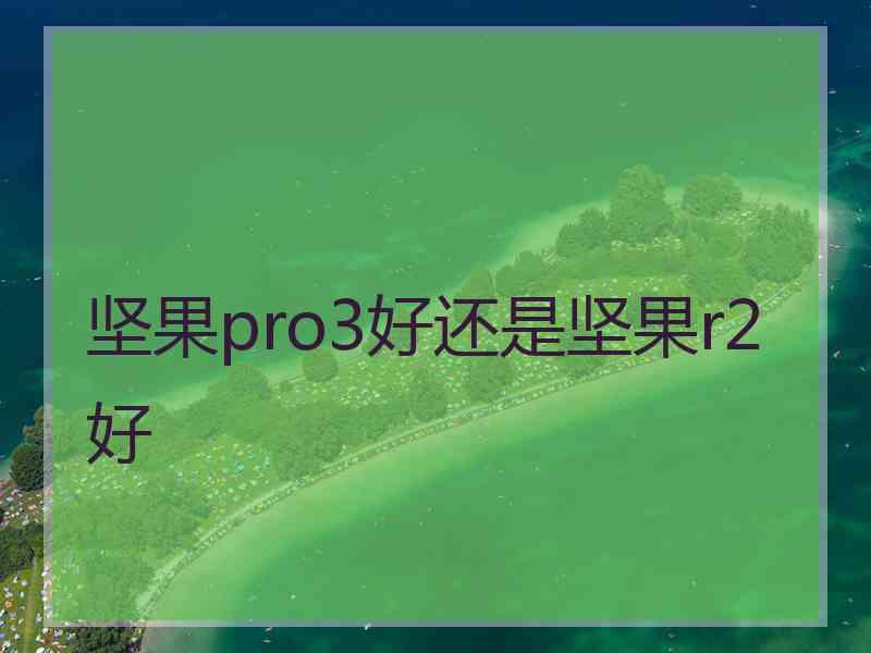 坚果pro3好还是坚果r2好