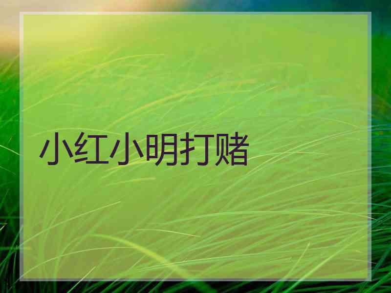 小红小明打赌