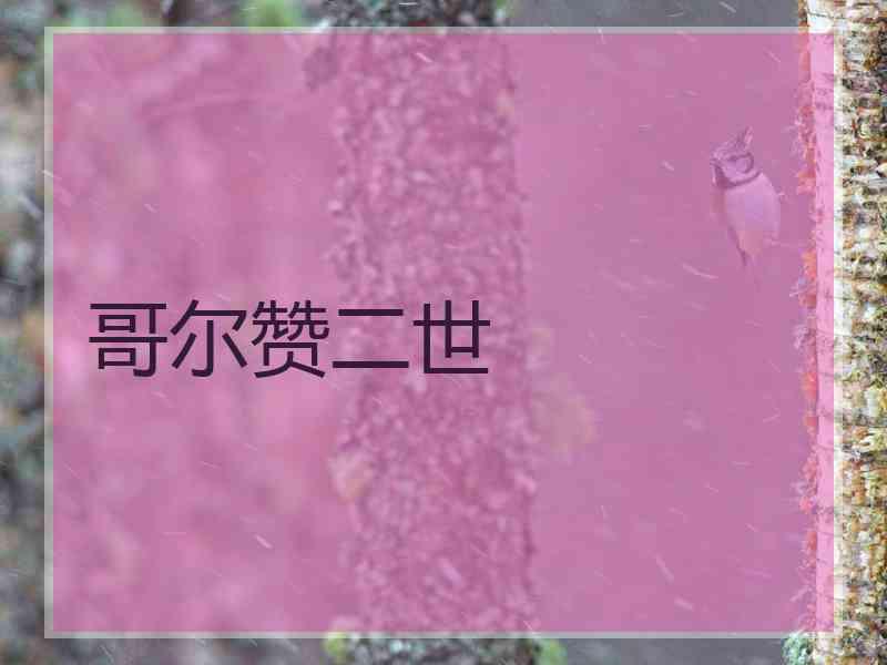 哥尔赞二世
