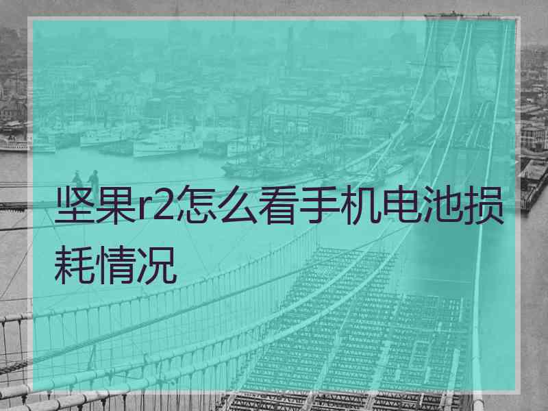 坚果r2怎么看手机电池损耗情况