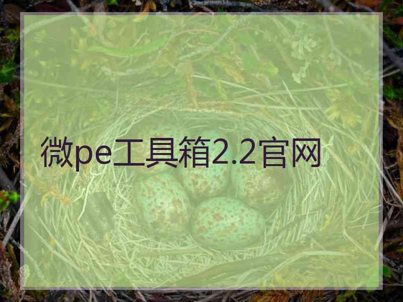 微pe工具箱2.2官网