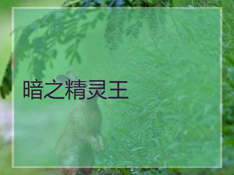 暗之精灵王