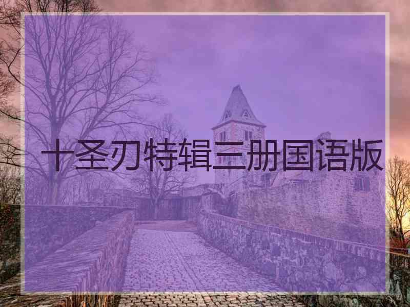 十圣刃特辑三册国语版