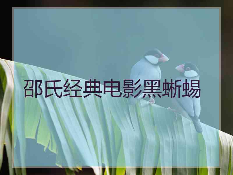 邵氏经典电影黑蜥蜴