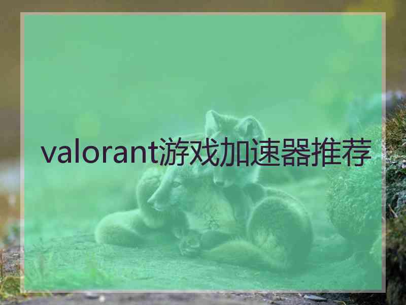 valorant游戏加速器推荐