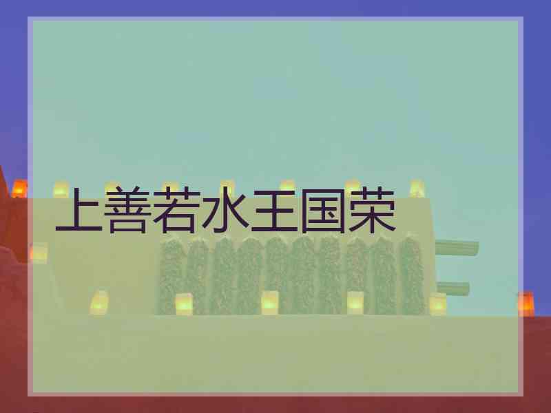 上善若水王国荣
