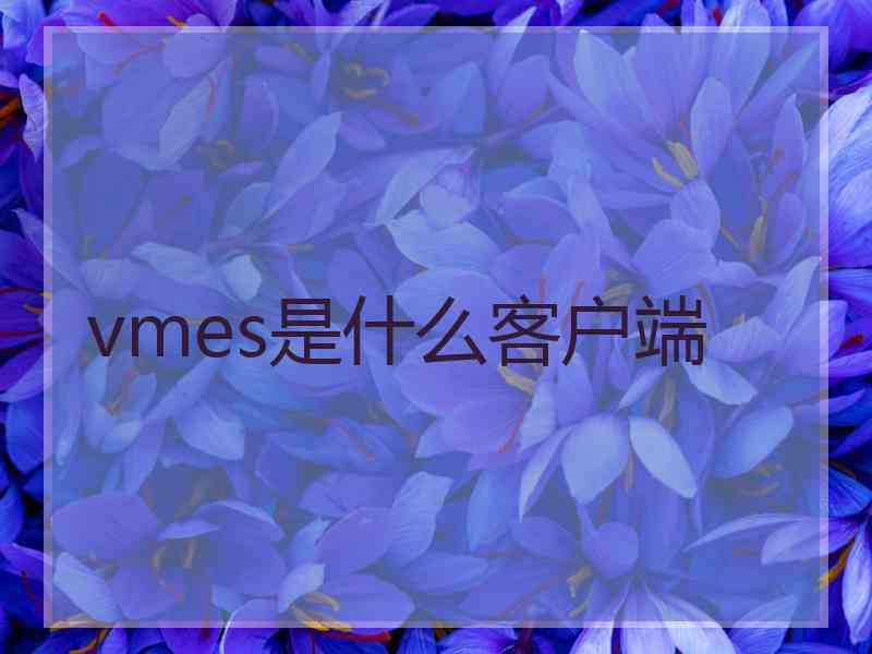 vmes是什么客户端
