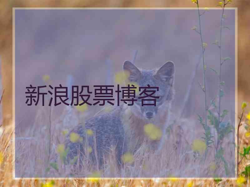 新浪股票博客
