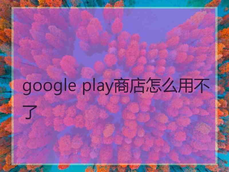google play商店怎么用不了