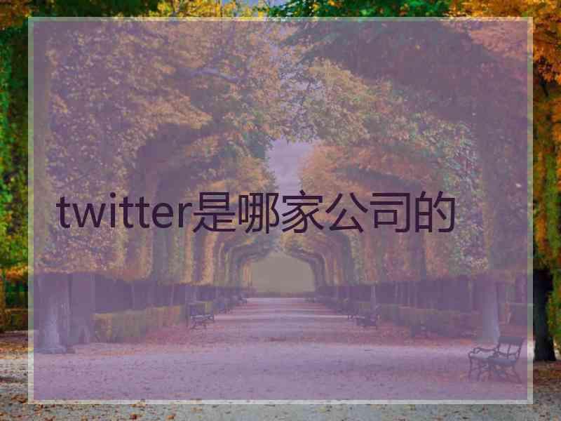 twitter是哪家公司的