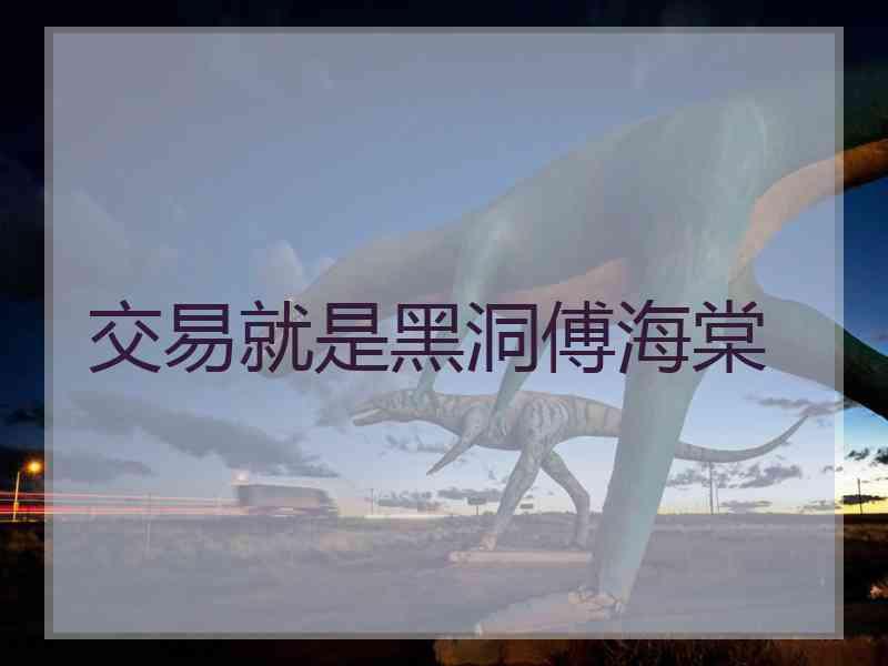 交易就是黑洞傅海棠