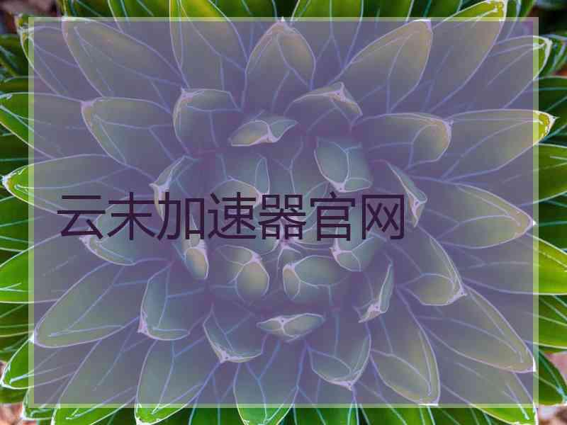 云末加速器官网