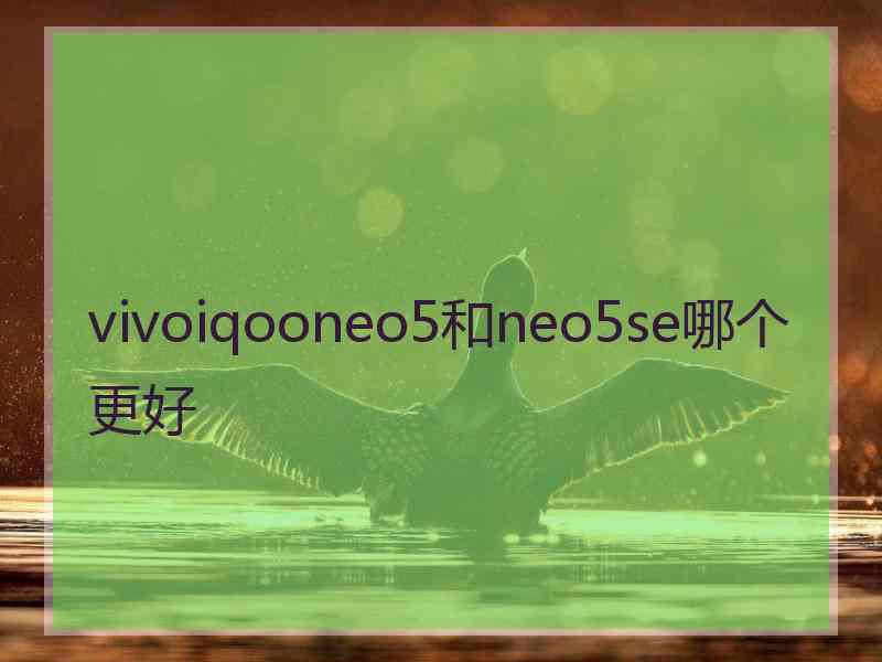 vivoiqooneo5和neo5se哪个更好