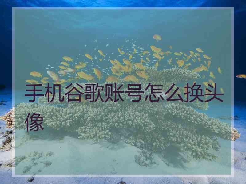 手机谷歌账号怎么换头像