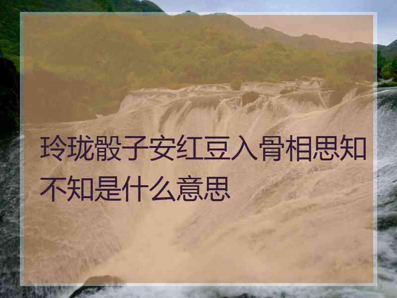 玲珑骰子安红豆入骨相思知不知是什么意思