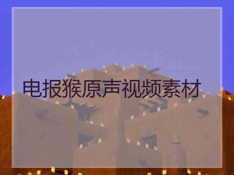 电报猴原声视频素材