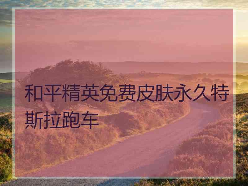 和平精英免费皮肤永久特斯拉跑车