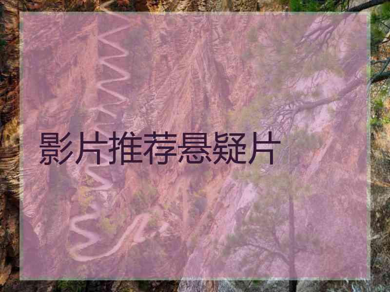 影片推荐悬疑片