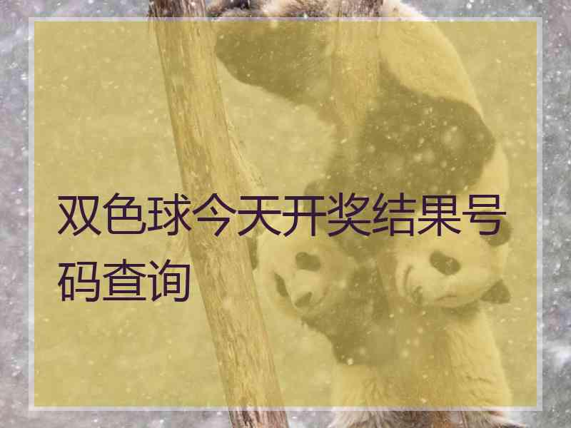 双色球今天开奖结果号码查询