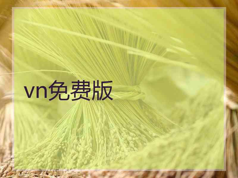 vn免费版