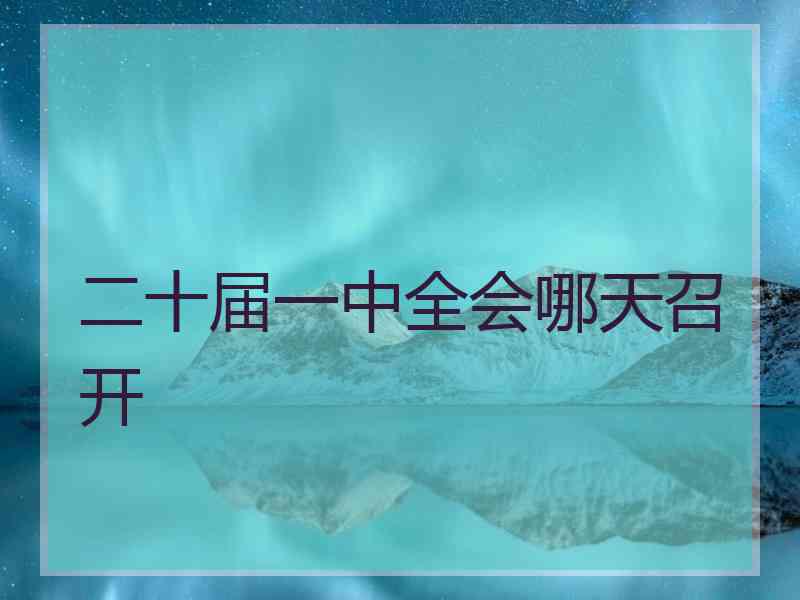 二十届一中全会哪天召开
