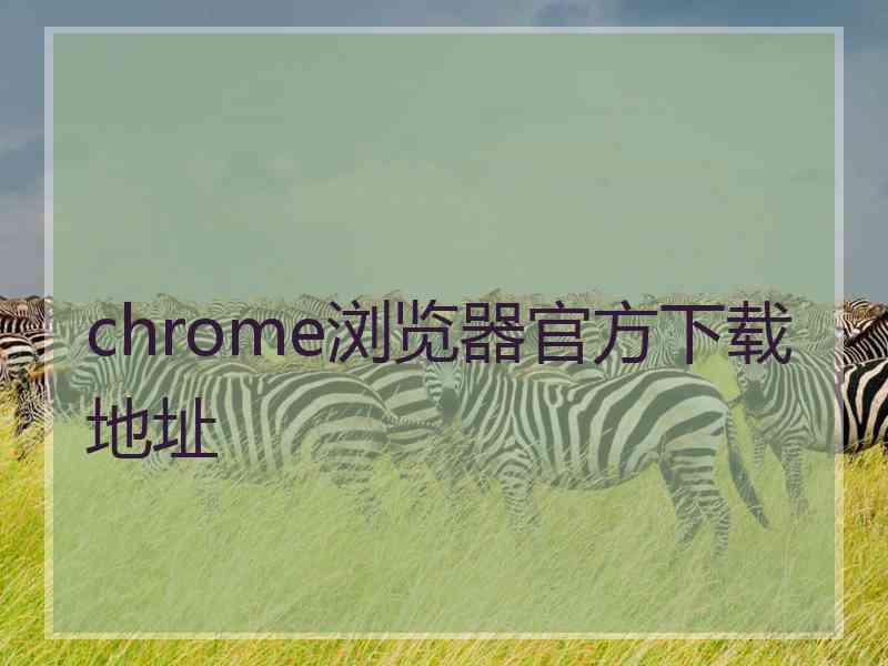 chrome浏览器官方下载地址