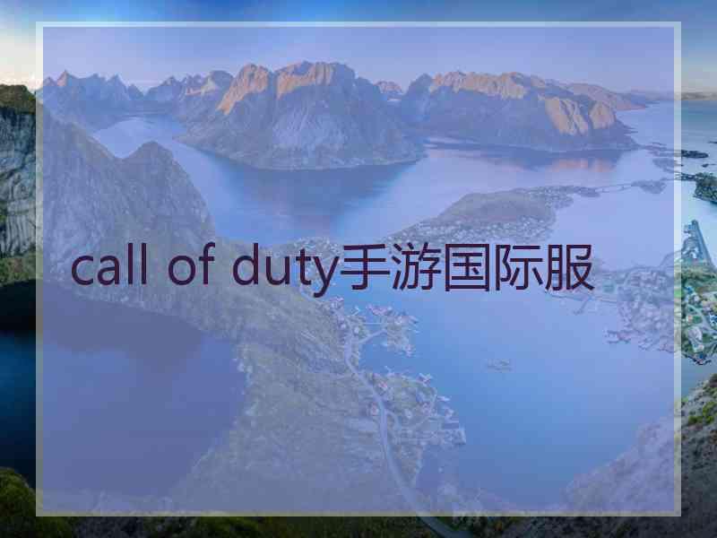 call of duty手游国际服