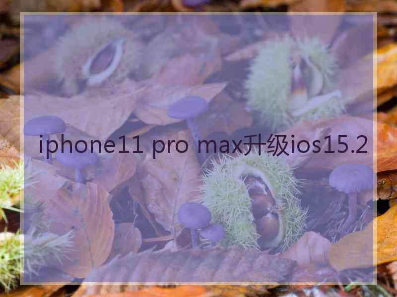 iphone11 pro max升级ios15.2